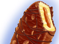Icecream, Ice Cream, Calamel, Nuts, Milk, Dark, chocolate, Choko, Sweet, Attractive, Illustration for Packaging